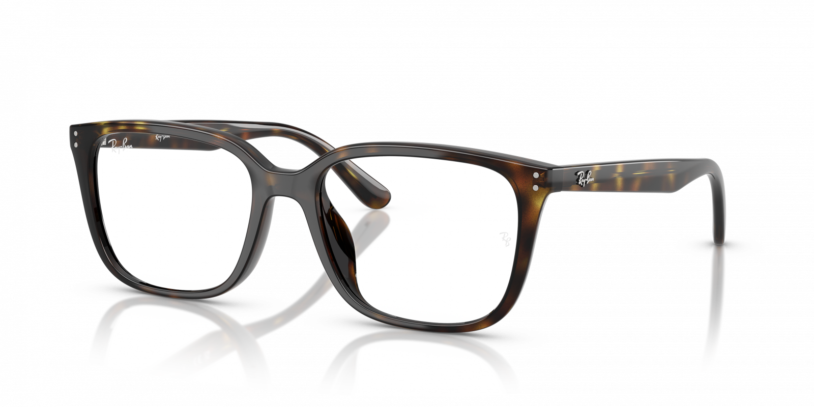 Ray Ban RX7248D 2012  